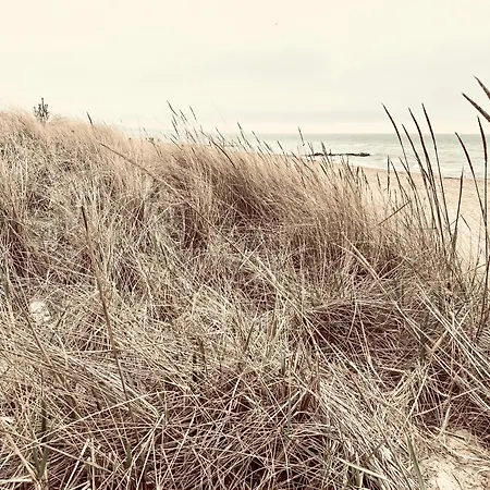 Apartment Seagrass Timmendorfer Strand